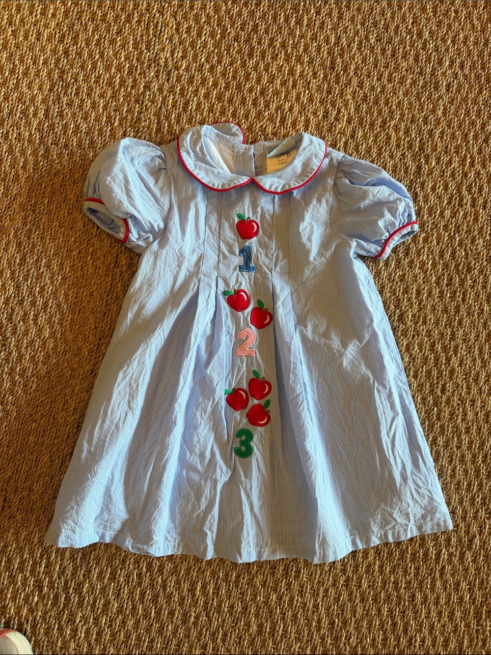 Back to school!!! Light Blue Peter Pan Collar Dress with Apple Appliqués